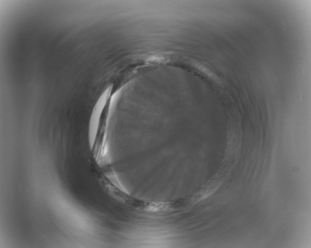 X0000065990720200603311931