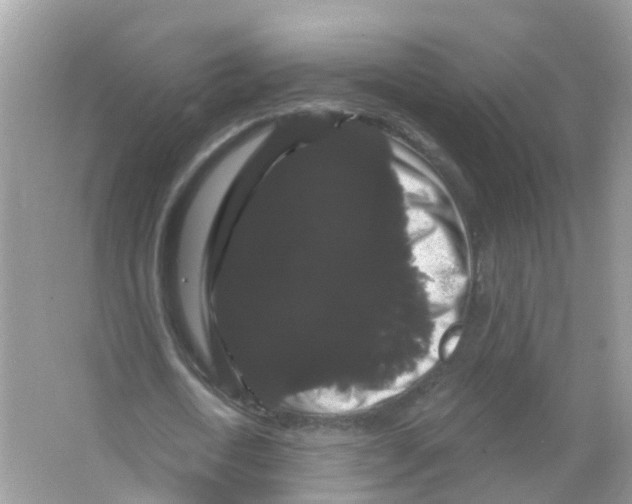 X0000065990722200603311930