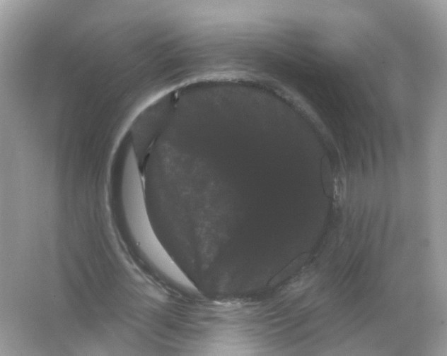X0000065990724200603311930