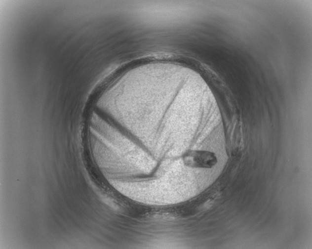 X0000065990730200603311930