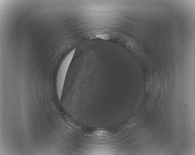 X0000065990748200603311930
