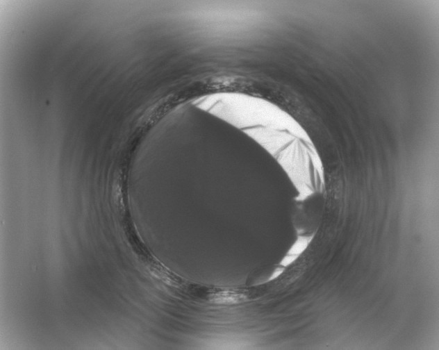 X0000065990754200603311930