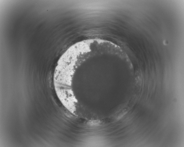 X0000065990767200603311931