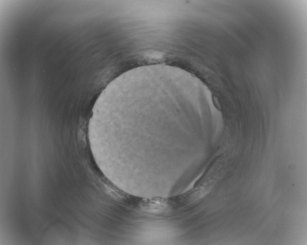 X0000065990768200603311931