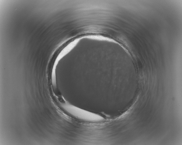 X0000065990779200603311930