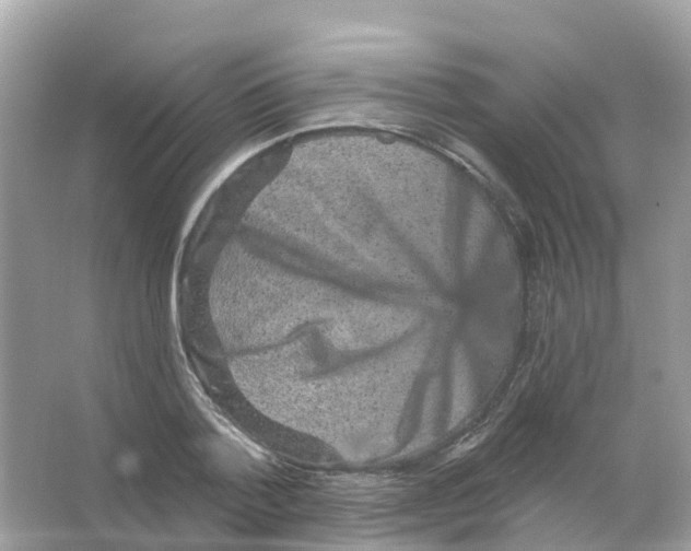 X0000065990788200603311930