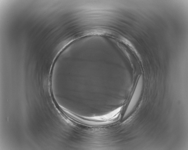 X0000065990802200603311929