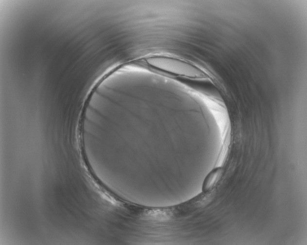 X0000065990806200603311929