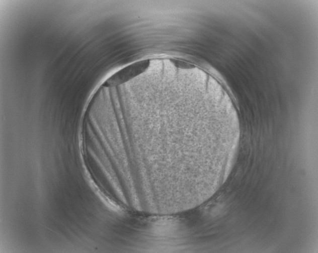 X0000065990811200603311929