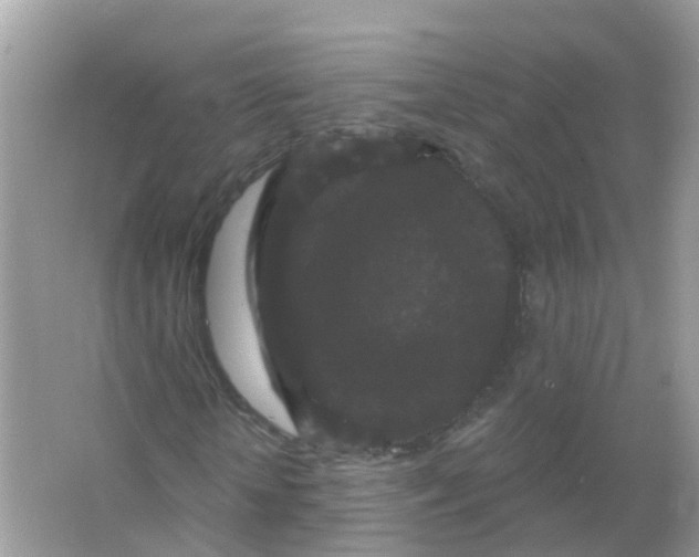 X0000065990818200603311928
