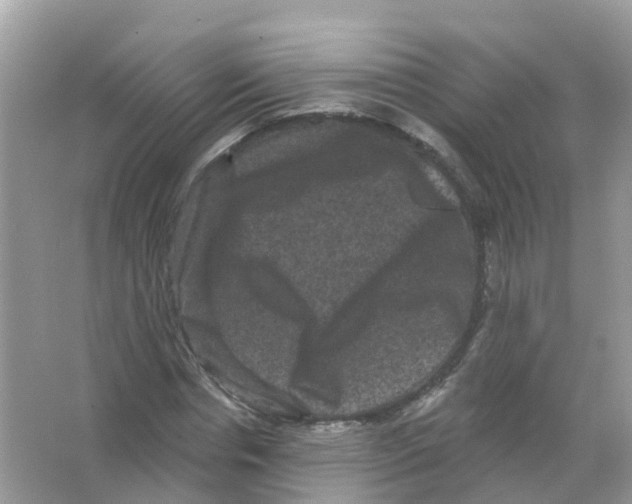 X0000065990826200603311928