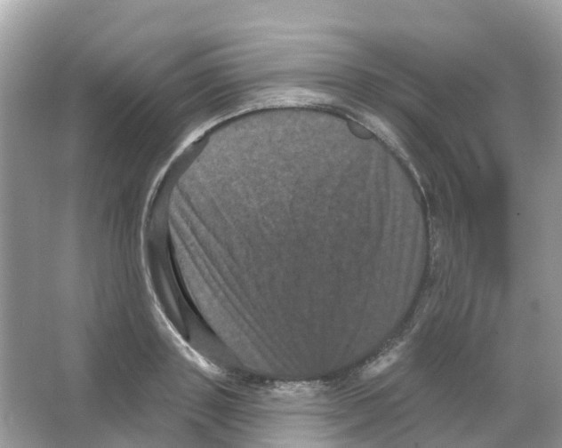 X0000065990843200603311929