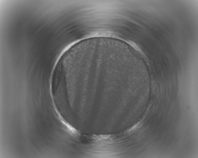 X0000065990846200603311929