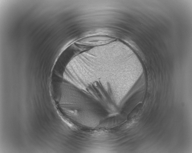 X0000065990850200603311929