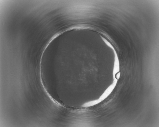 X0000065990853200603311929