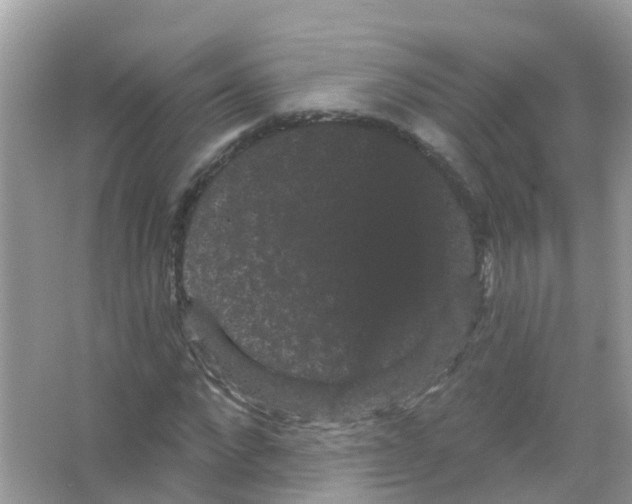 X0000065990872200603311928