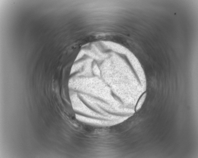 X0000065990914200603311927