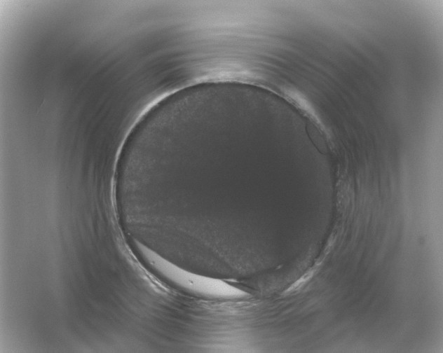X0000065990932200603311927