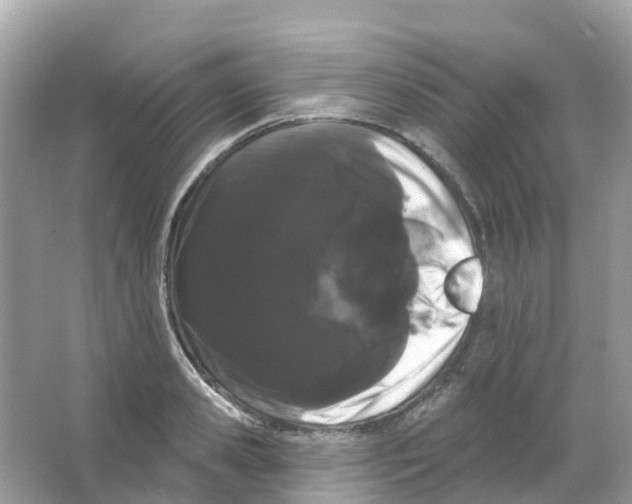 X0000065990941200603311927