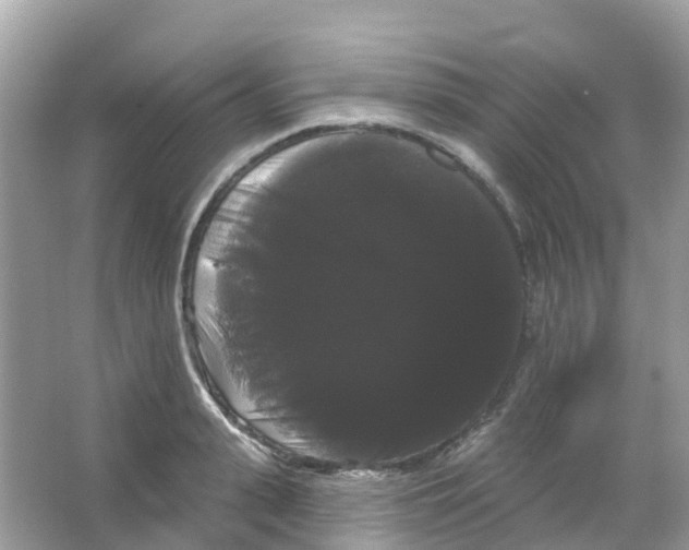 X0000065990943200603311927