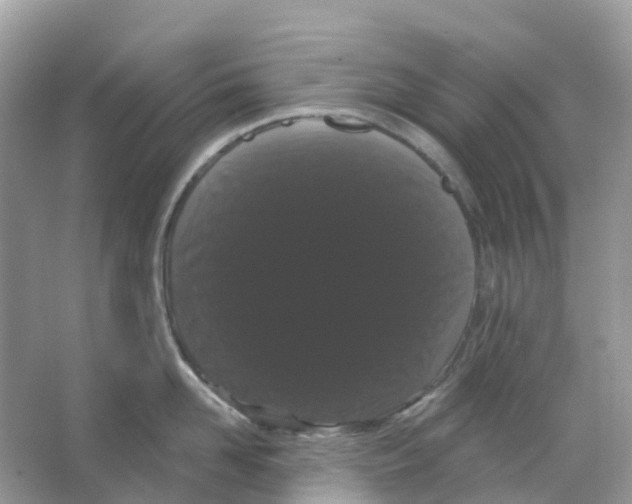X0000065990958200603311927