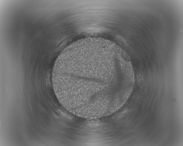 X0000065990964200603311927