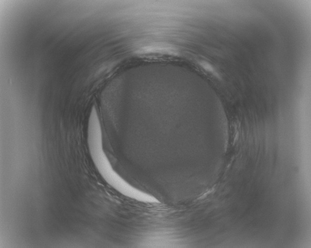 X0000065990965200603311927