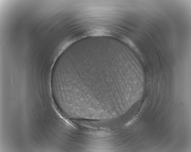 X0000065990986200603311926