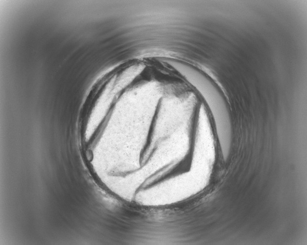 X0000065990987200603311926