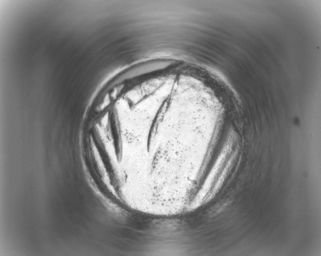X0000065990991200603311926