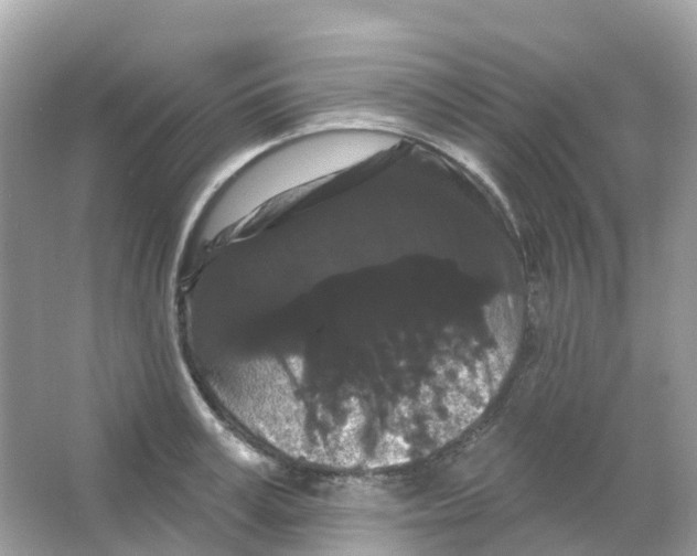 X0000065990995200603311926