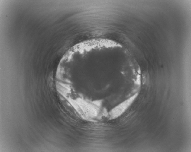 X0000065991011200603311925