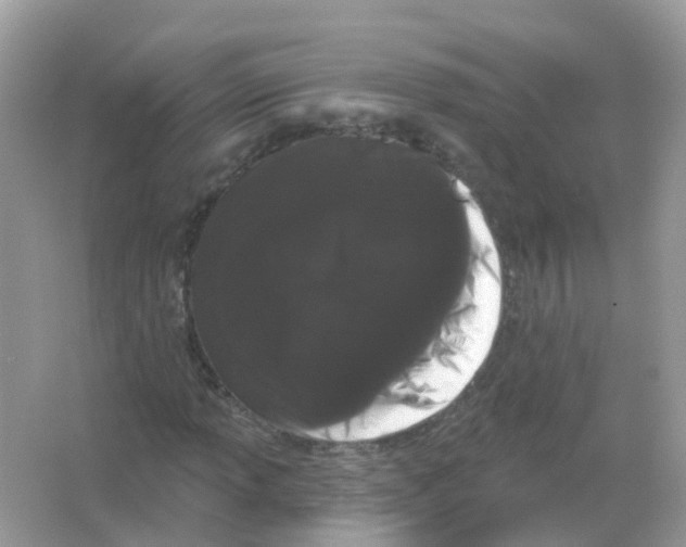 X0000065991013200603311925