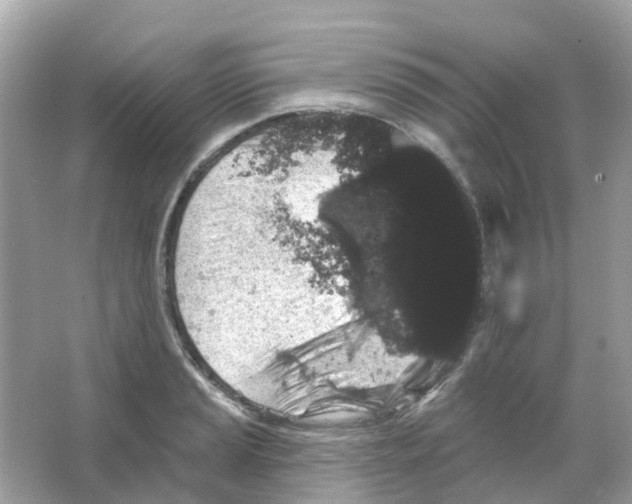X0000065991037200603311925
