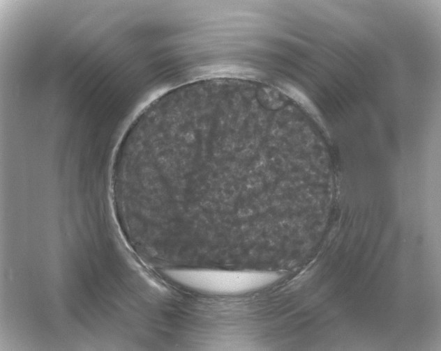 X0000065991043200603311926