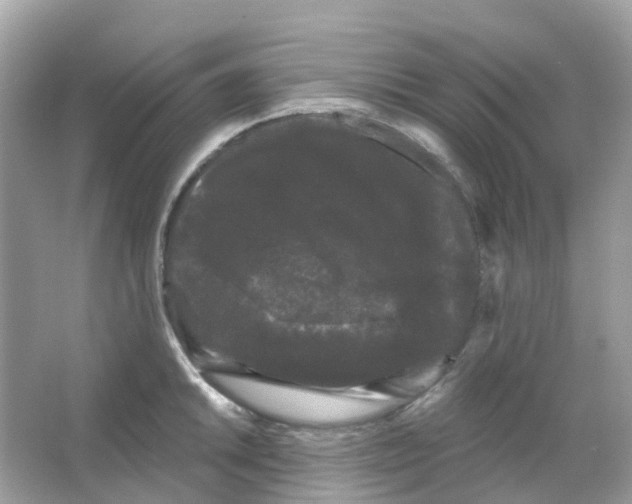 X0000065991046200603311926