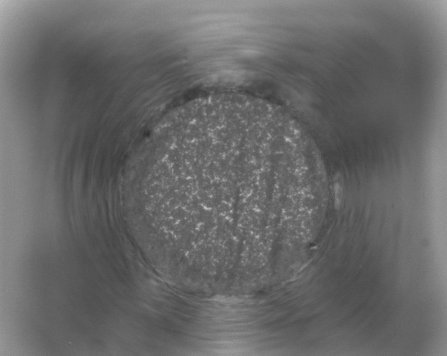 X0000065991059200603311925