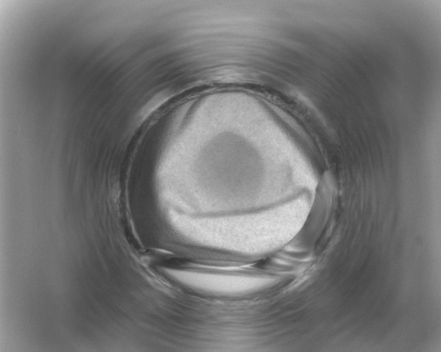 X0000065991065200603311925