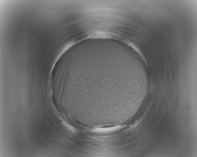 X0000065991075200603311925
