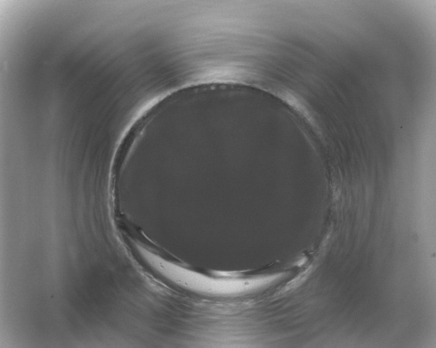 X0000065991077200603311925