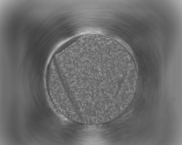 X0000065991104200603311924