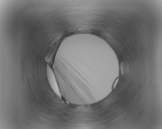X0000065991107200603311923