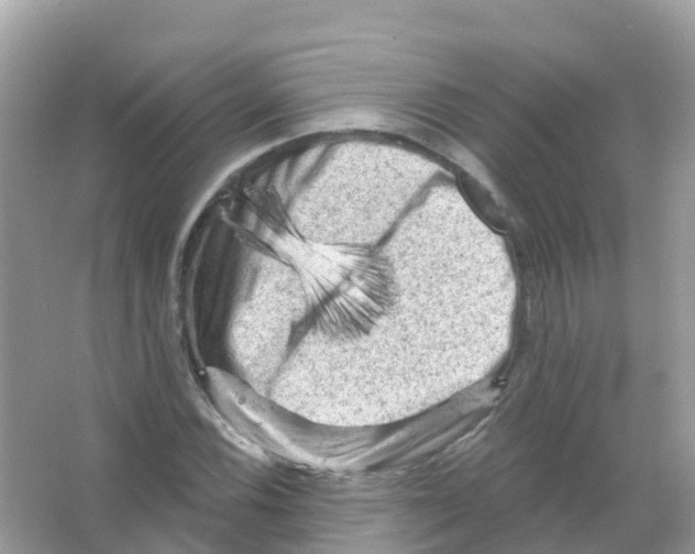 X0000065991116200603311924