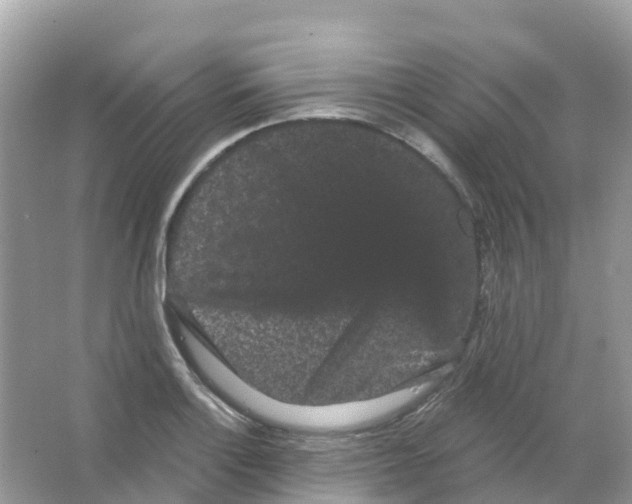 X0000065991132200603311924