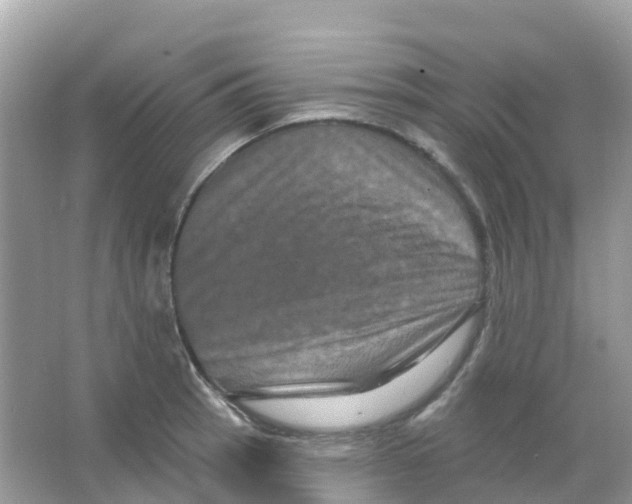 X0000065991137200603311924