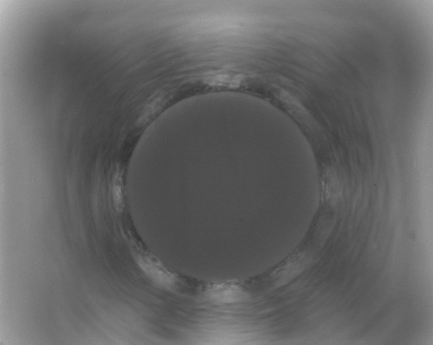 X0000065991154200603311923