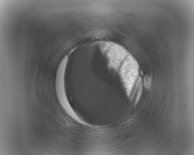 X0000065991155200603311923