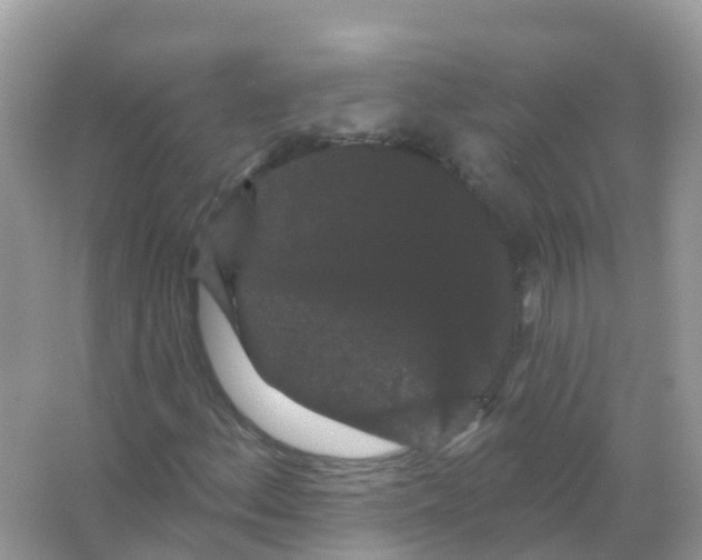 X0000065991156200603311923
