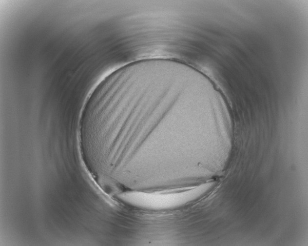X0000065991187200603311923
