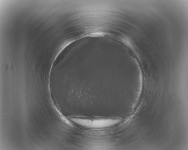 X0000065991194200603311923